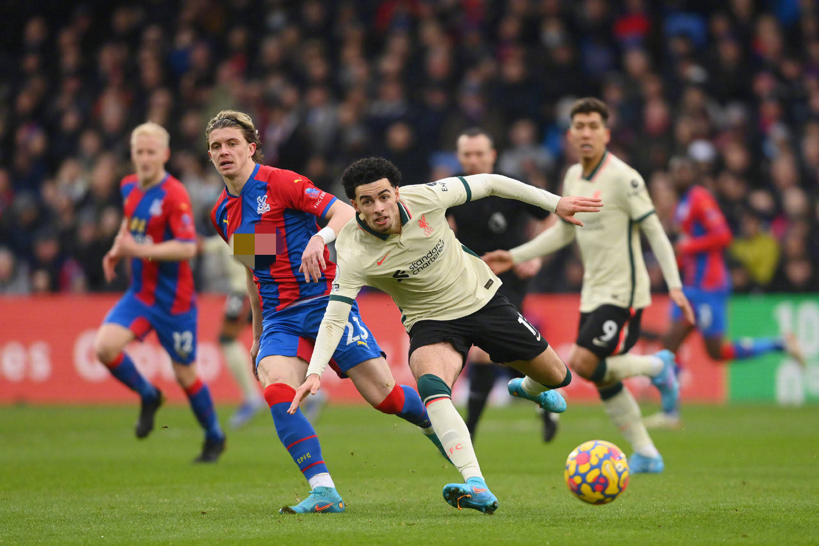 疑为国内球 疑为国内球